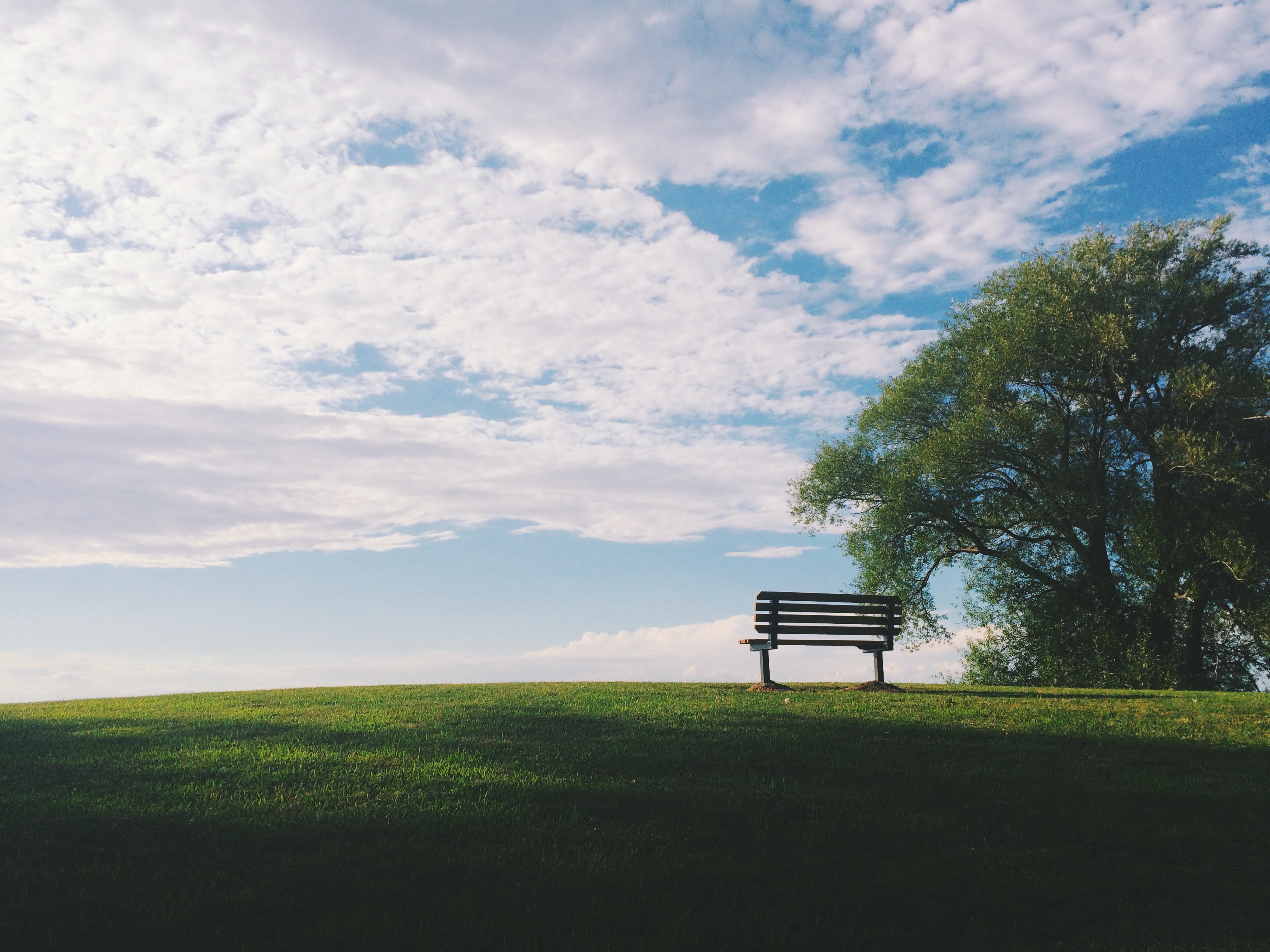 Who Makes Funeral & Probate Decisions When Someone Dies?